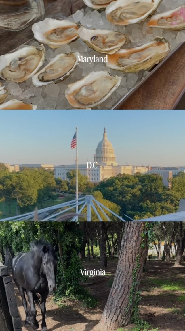 Client reel, Washington, D.C., 22K views